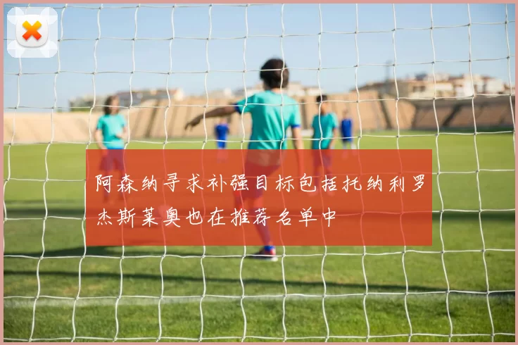 阿森纳寻求补强目标包括托纳利罗杰斯莱奥也在推荐名单中