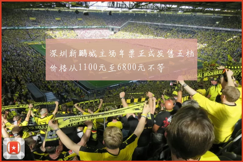 深圳新鹏城主场年票正式发售五档价格从1100元至6800元不等